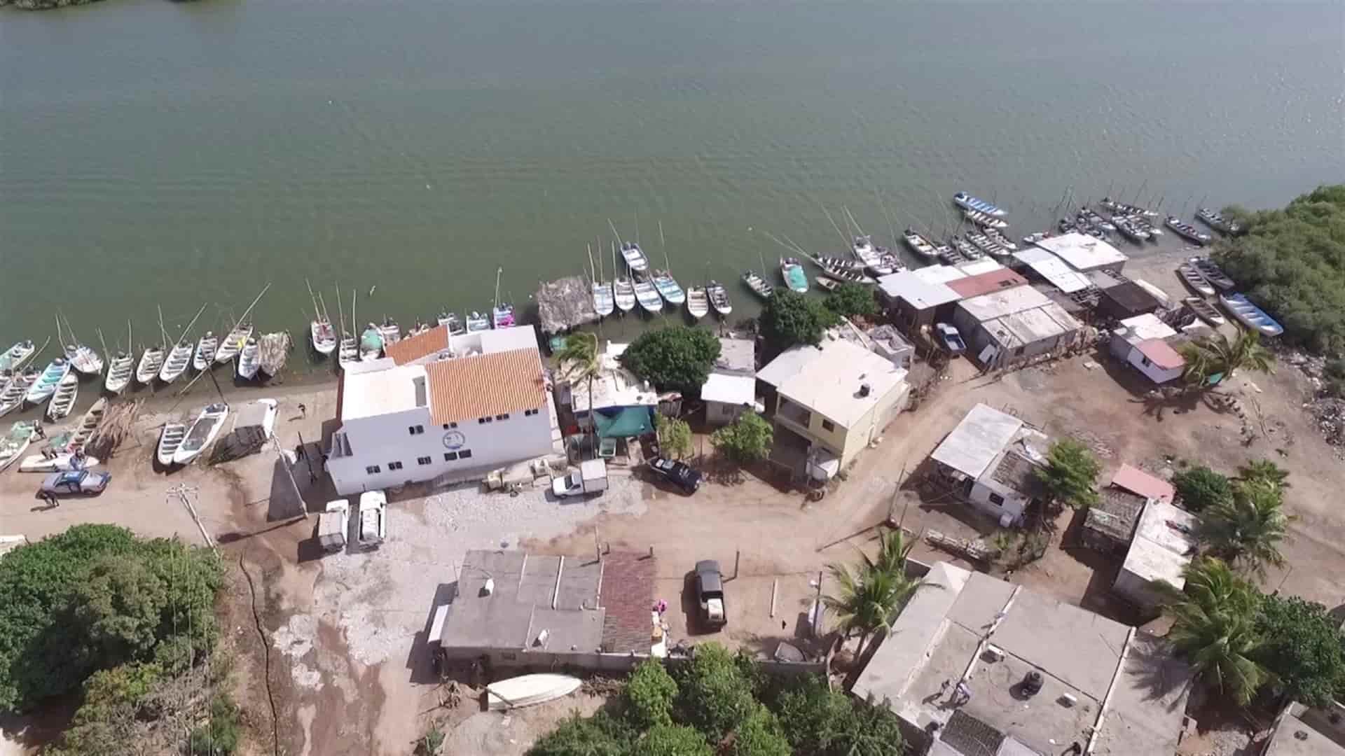 FOTO: Luz Noticias | Temática.