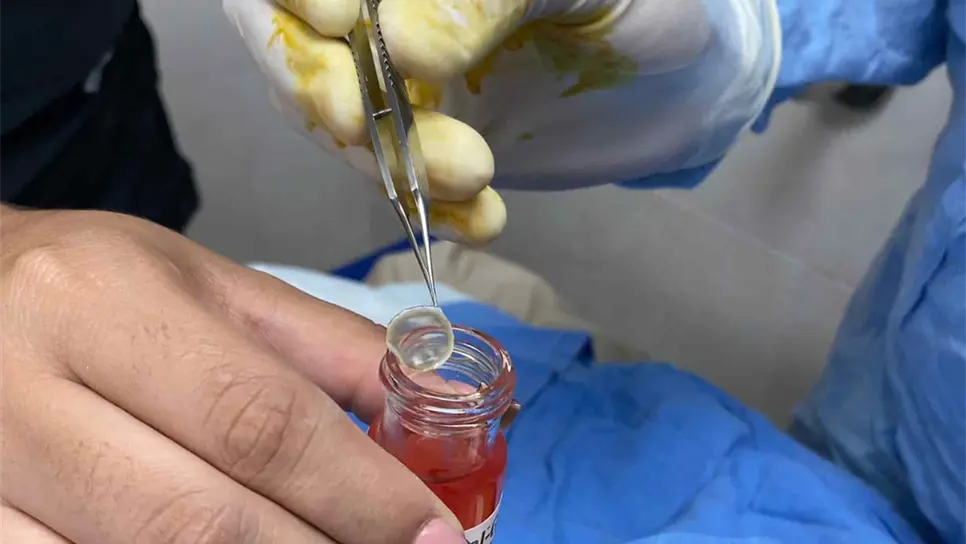 FOTO: Archivo Luz Noticias.