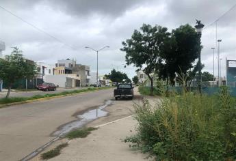 Denuncian abundancia de mosquitos en Real Pacífico