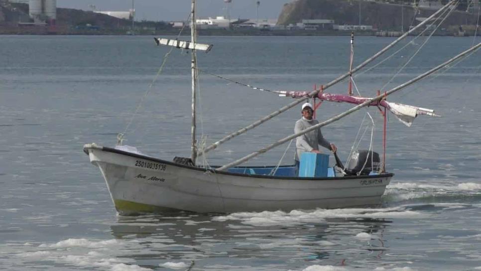 Sector Naval exhorta a pescadores de Topolobampo a apegarse a normas