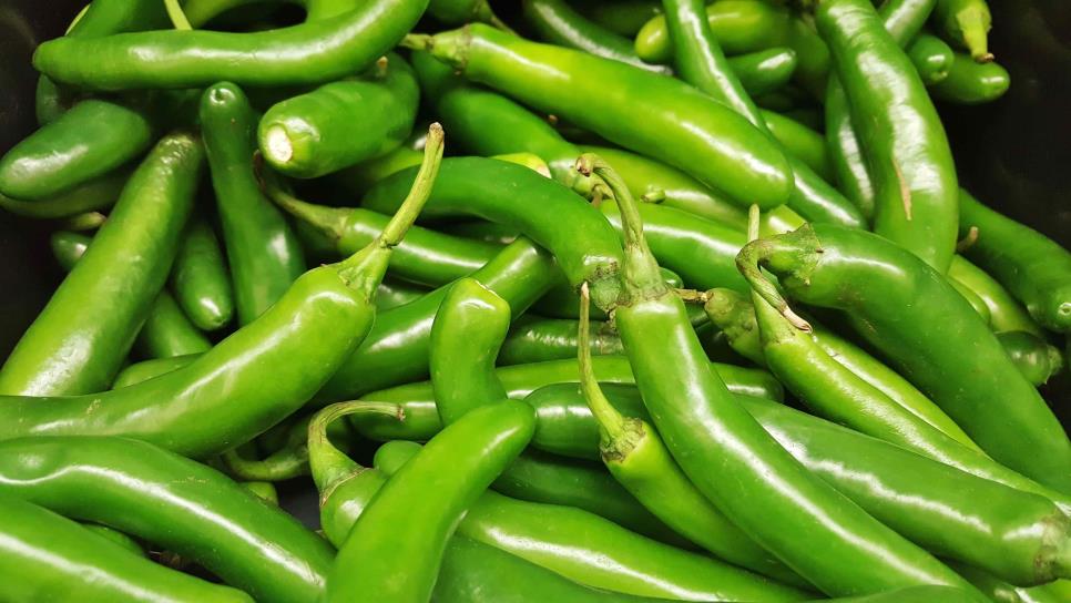 México segundo lugar en producción de chile verde