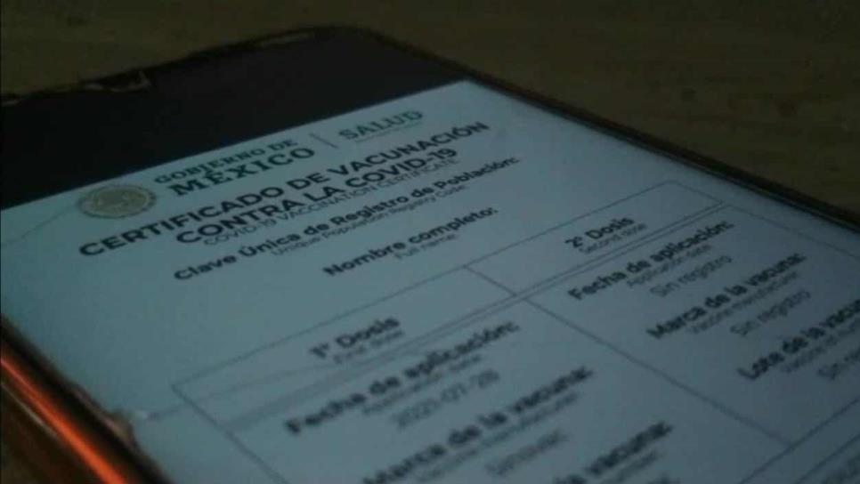 Analizan pedir certificado de vacunación en Ahome