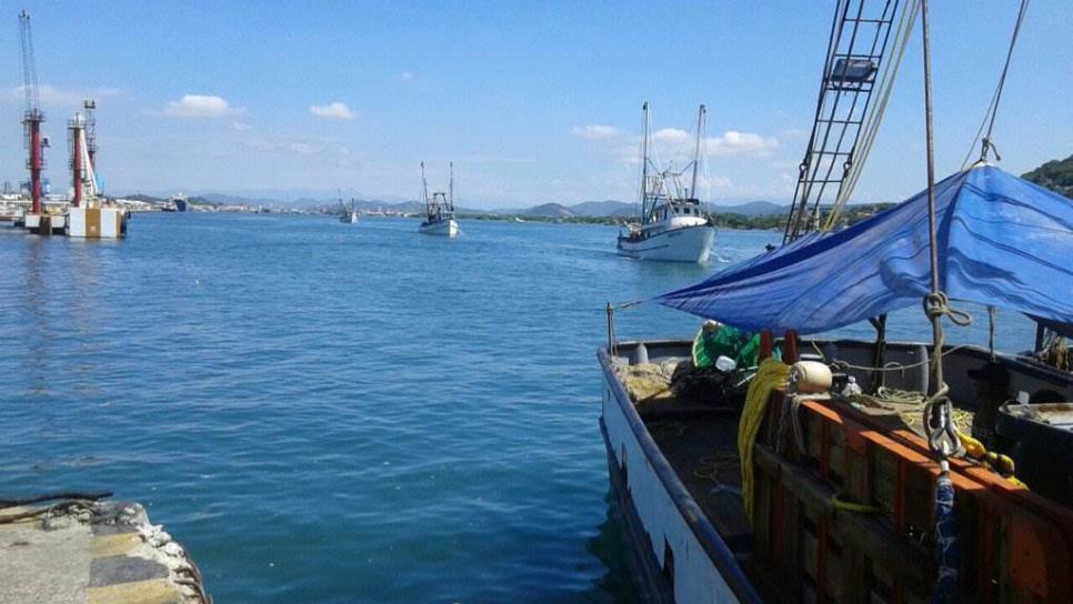 Inicia la pesca de camarón en altamar, salen sólo 250 barcos de Mazatlán