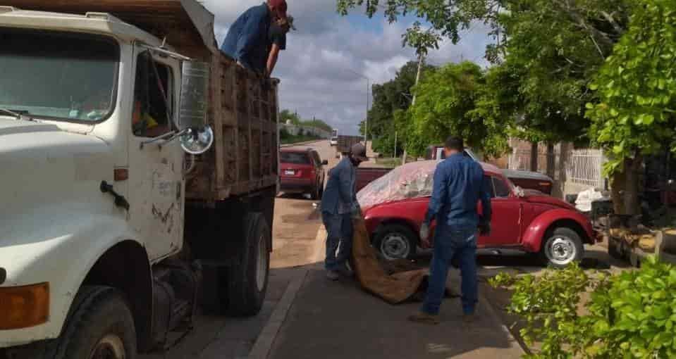 Sector Salud de Salvador Alvarado llama a denunciar la presencia de moscos