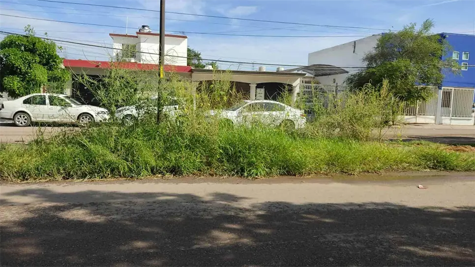 Denuncian proliferación de moscos, maleza y humedad en camellones de Culiacán