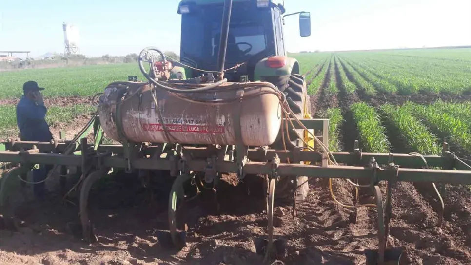Inicia el ciclo agrícola con desabasto de amoniaco