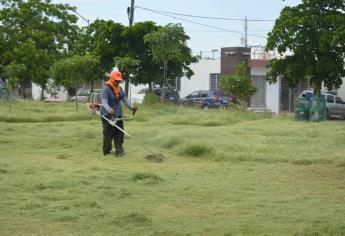 Por mantener sucio a  Mazatlán, despiden al Jefe de Parques y Jardines