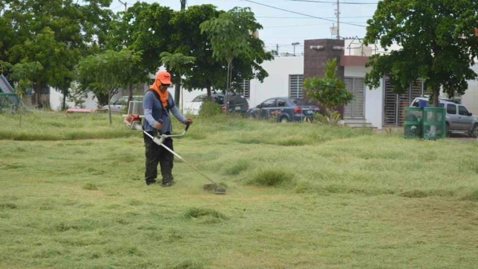 Por mantener sucio a  Mazatlán, despiden al Jefe de Parques y Jardines