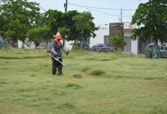 Limpian camellones, jardines y áreas verdes en Culiacán