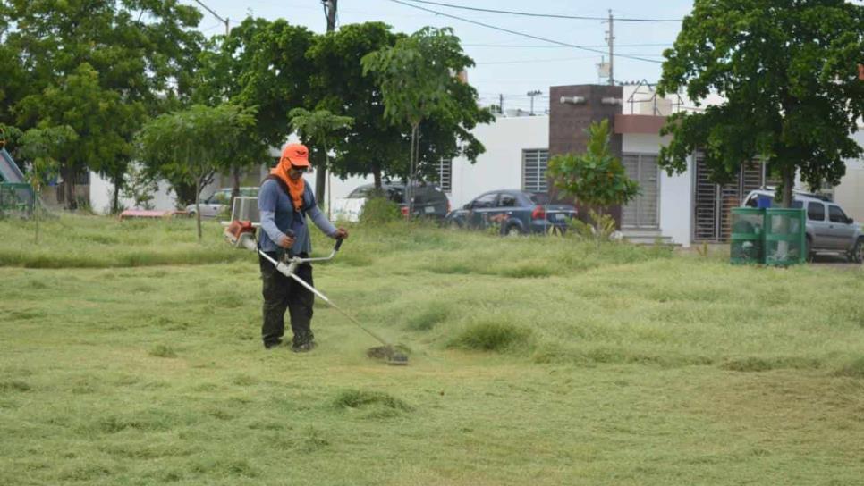 Limpian camellones, jardines y áreas verdes en Culiacán