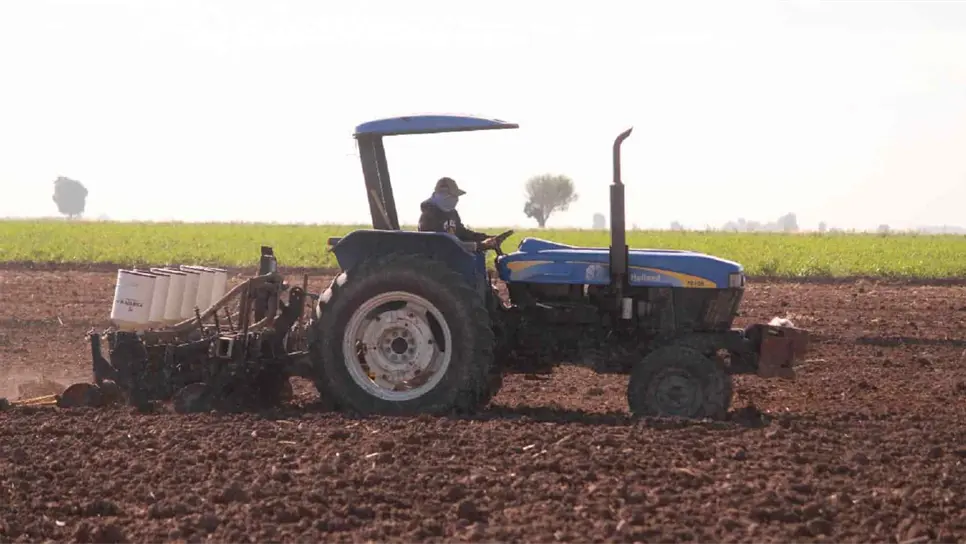 Se encarecen costos de producción agrícola en 40%