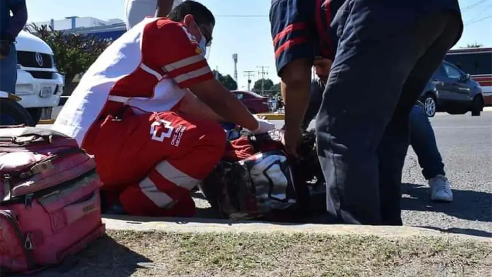 Muere hombre tras caer de árbol que podaba en Escuinapa