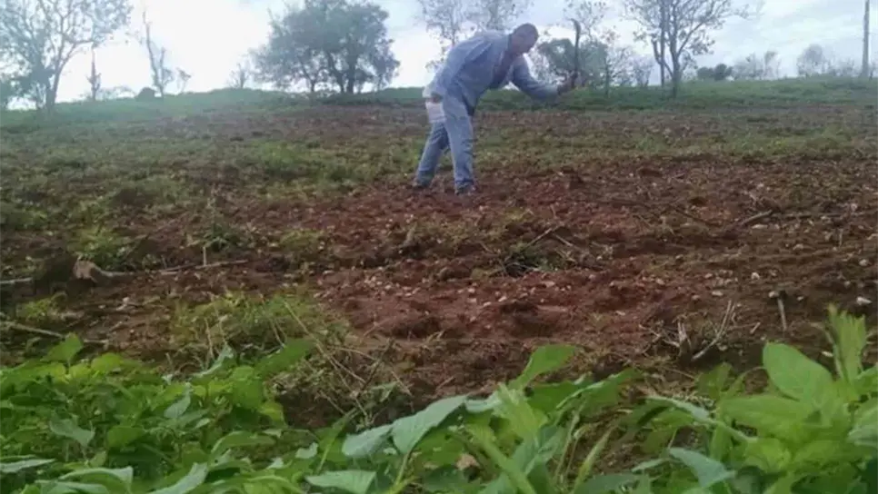 FOTO: Archivo Luz Noticias.