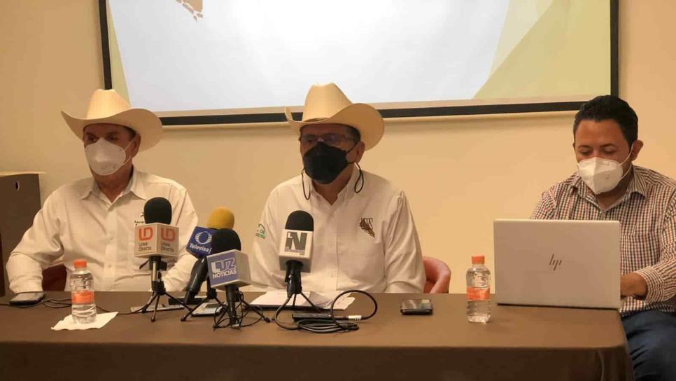 Podría no haber Feria Ganadera este año en Sinaloa