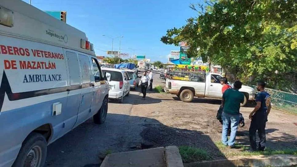 Abejas pican más de 100 veces a hombre cuando cortaba guayabas, en Mazatlán