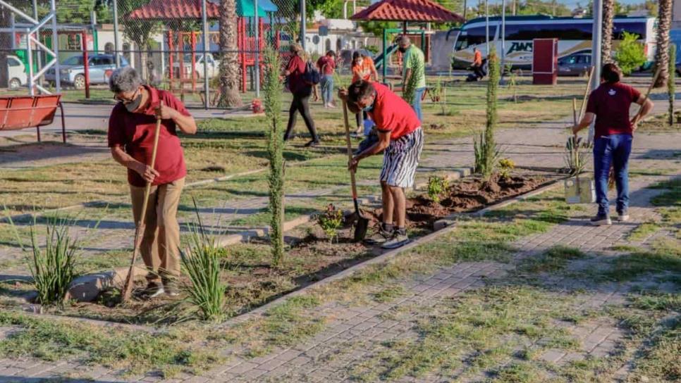 Continúa DIF Ahome con campaña “Cultivando un Recuerdo” en el parque Los Naranjos