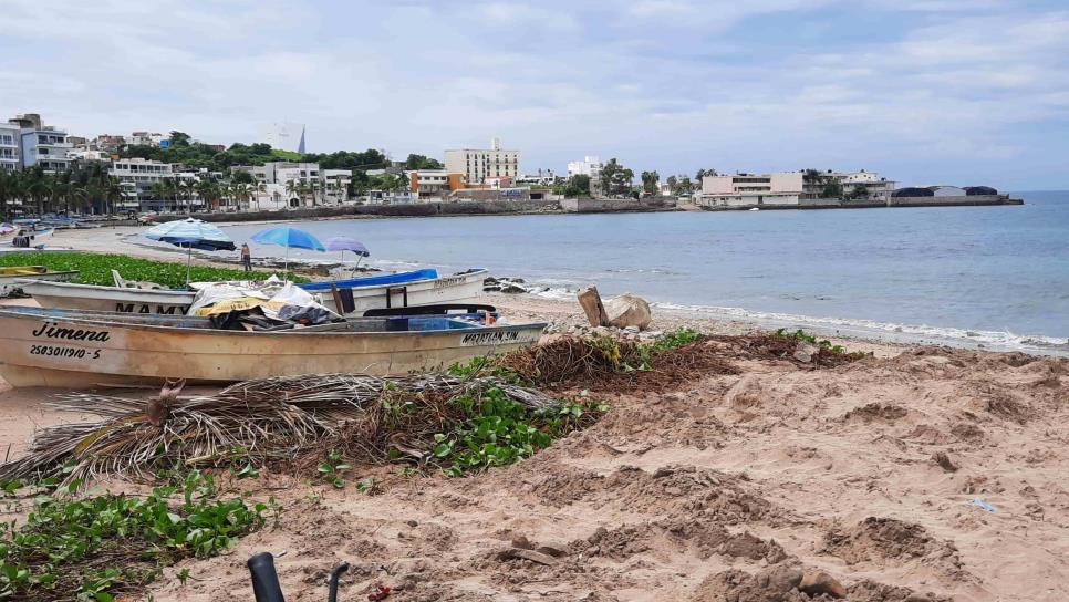 Construye empresa a ras de playa y daña ecosistema marino