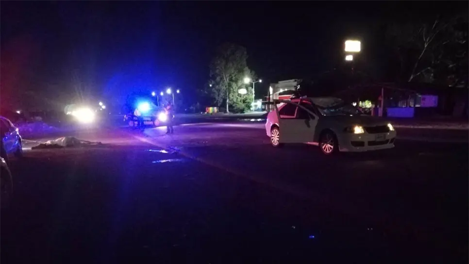 Caballo provoca accidente en la Mochis – Ahome