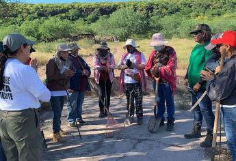 Rastreadoras de El Fuerte, FGR y comisiones buscan fosas clandestinas en Ahome