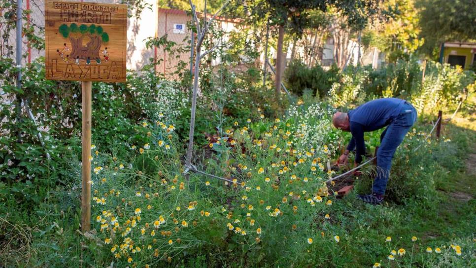 La recuperación poscovid-19 puede impulsar una agricultura sostenible: FAO