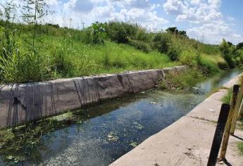 Agua estancada, mosquitos y malos olores denuncian vecinos de Santa Bárbara
