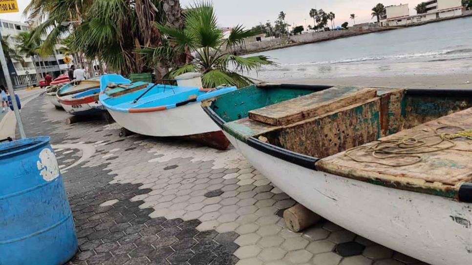 Sacan pangas del mar los pescadores por «Pamela»