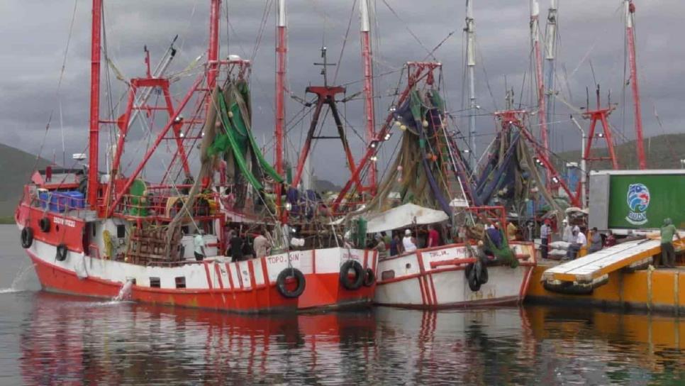 «No hay que hacerle al valiente», regresan barcos a Topolobampo