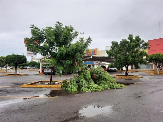 Imagen Placeholder Imagen Placeholder