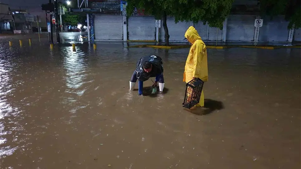 Basura retardó desfogue de lluvias ocasionadas por «Pamela» en Los Mochis