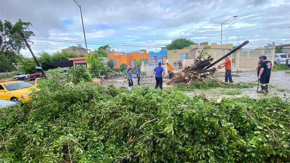 CFE, a marchas forzadas para restablecer el servicio en La Cruz de Elota