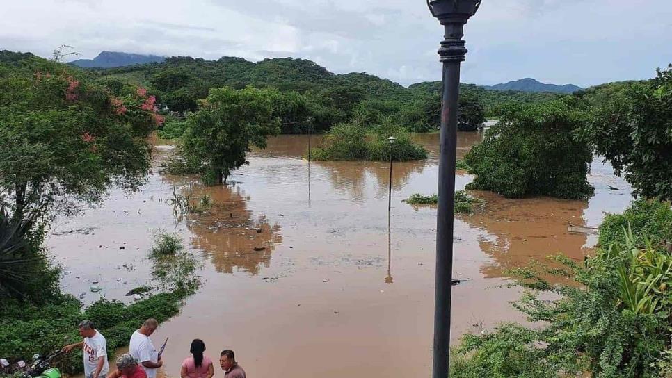 Pérdidas totales en la agricultura en El Rosario por desbordamiento del río