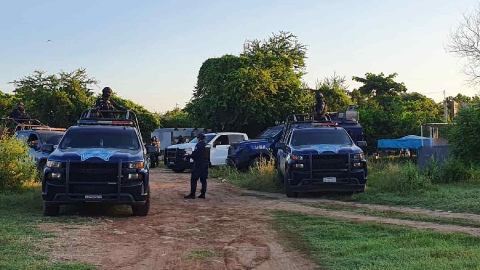 Aseguran invernadero de mariguana en Quilá