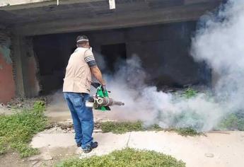 En Sinaloa ya suman 178 casos de dengue en este año