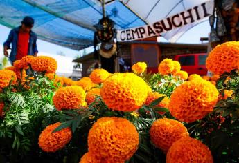 La esperanza de los vendedores de cempasúchil regresa junto al Día de Muertos