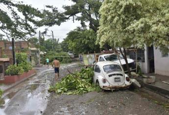 En Mazatlán, habitantes de la zona rural y urbana vuelven a la normalidad