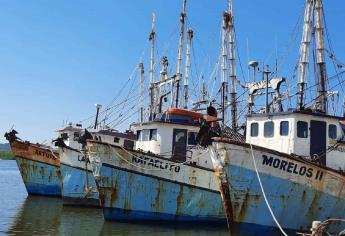 Pescadores lamentan que hay poco camarón en el mar