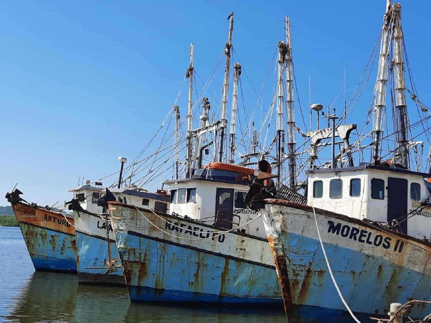 Pescadores lamentan que hay poco camarón en el mar