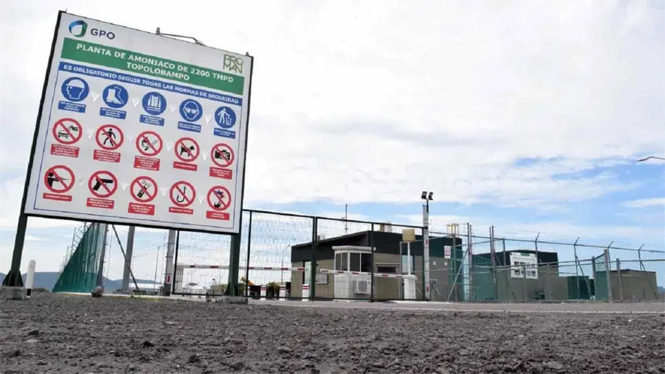 Pregunta de Consulta Popular debe ser fácil de entender: GPO