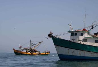 Aún no hay fecha para levantamiento de la veda de camarón en Sinaloa