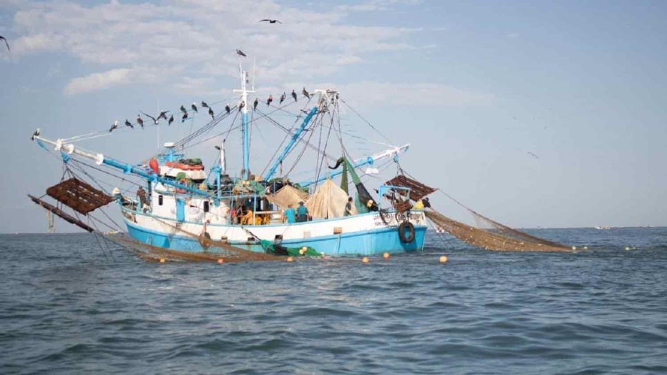 Pesca atípica y accidentada enfrenta la flota camaronera