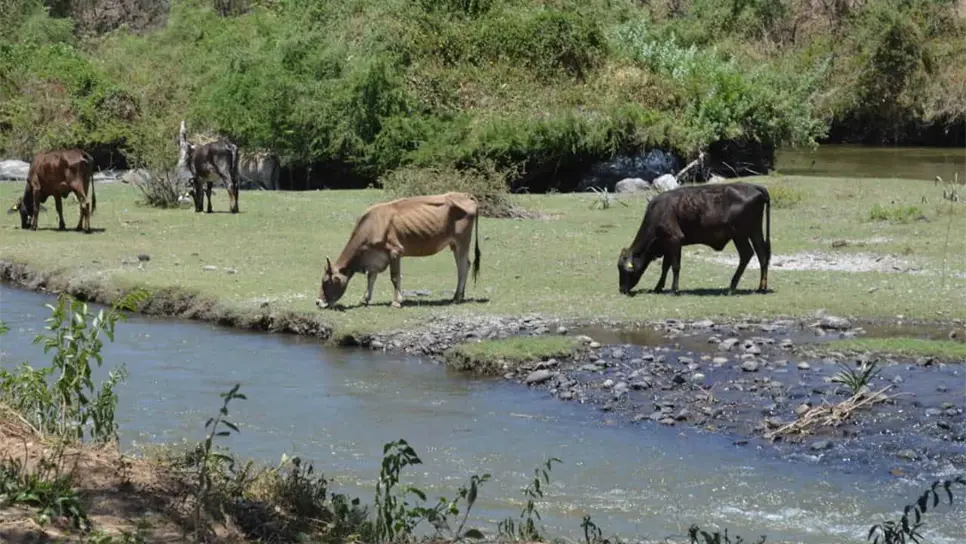 FOTO: Archivo Luz Noticias.