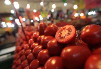 Tomate de Sinaloa en riesgo, aranceles amenazan exportaciones a E.U.