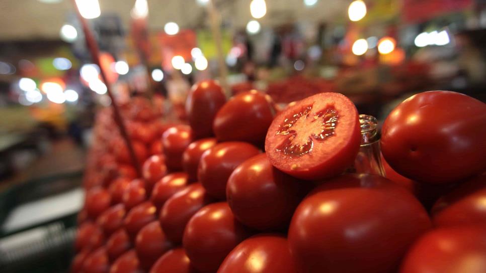 México vigilará prohibición de entrada de tomates frescos a EE.UU.