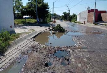 Lluvias por «Nora» y «Pamela» dejan daños en vialidades de Mazatlán: alcalde