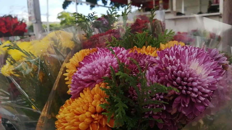 Floristas de Los Mochis denuncian competencia desleal de «golondrinos»