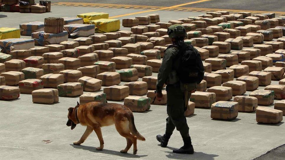 Perra policía descubre casi 4 mil 000 kilos de marihuana ocultos en ollas a presión