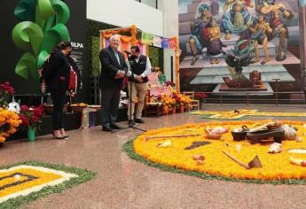 La flor de cempasúchil más allá del Día de Muertos