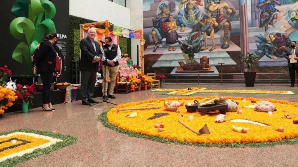 La flor de cempasúchil más allá del Día de Muertos