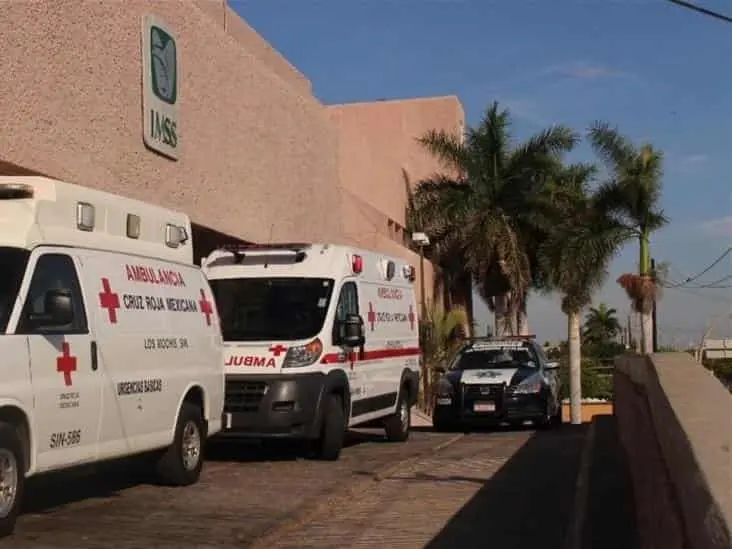 FOTO: Luz Noticias | Temática.