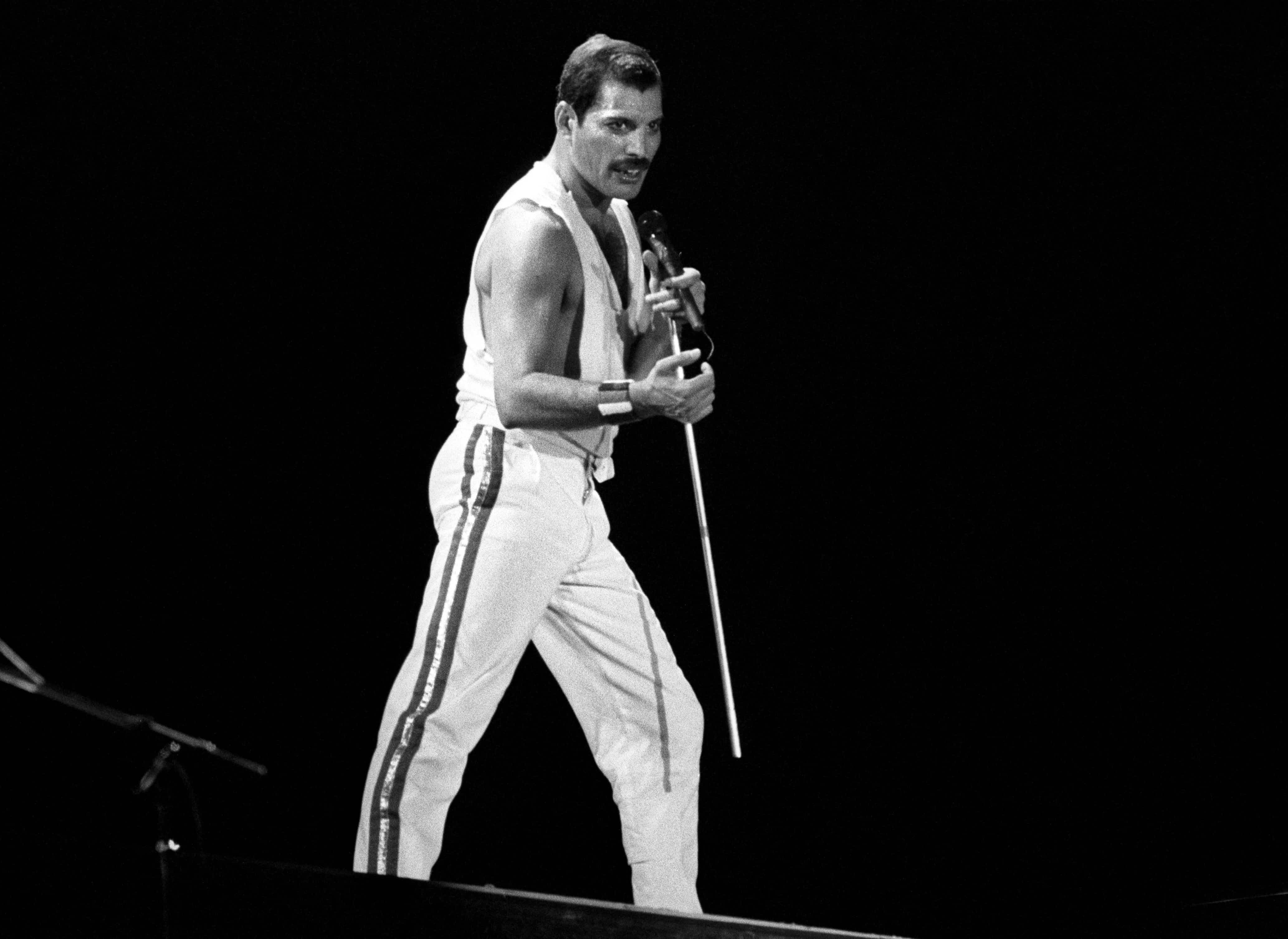 Los músicos que Freddie Mercury amaba y odiaba, expuestos en un nuevo libro